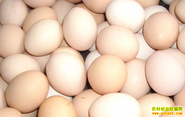 ���絰�ۻ����ȶ� ���ֵ��������۸�С������