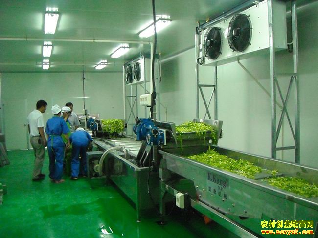 ר�ҽ������˼ӹ���ҵ�ѵ㼰˼·