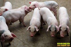 ������������ɻ��ʣ�