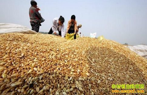 С���չ���һ���ڿ������� ����С��۸����ƽ�����