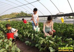 ��ɫ����Ի�������ũҵ��չ�Ĺؼ�