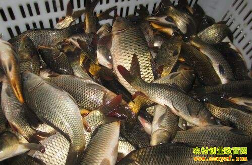 ��ˮ��۸���� ����ʦ��ע�����Ӱ��