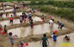 ����ũׯ���ת��������