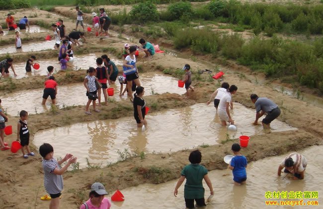 ����ũׯ���ת��������