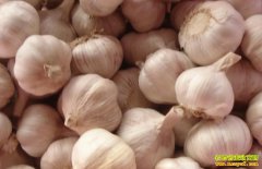 2018��7��14��ɽ����ɽ«���г�����۸�����