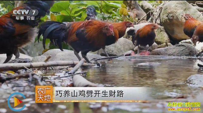 [ũ�����]�Ĵ�ͨ�������Ĳ�����ɽ����������·