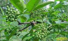 �����ϴ��ʻ�������10Ԫһ��