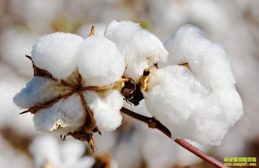 �޻��۸�һ���ڴ������ �����ڻ��޼۽���λ��