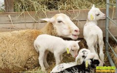 ��ͻȻվ����������ʲôԭ���������ƣ�