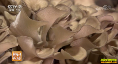 [ÿ��ũ��]�ӱ�Ǩ�������׬Ǯ�Ļ�������ֲǰ����