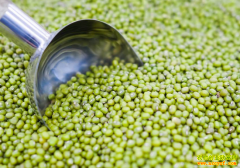 绿豆市场供需基本平衡 未来有降价的可能