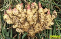 7��6��ɽ������ڲ��ӡ�ʢ���г������۸�����