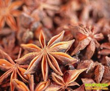 2018��7��10�����°˽ǣ������㣩�۸�����