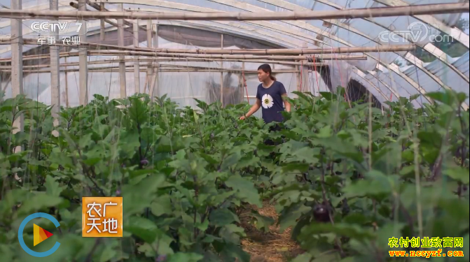 [ũ�����]Ů��������ɳ���߲���ֲ�¸���