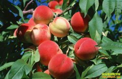 ���Ҽ�����������۵� Ʒ�������Ǵ���·�ؼ�