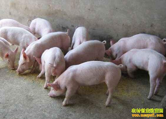 �Ϸ�������� ���۳���������״�򽫷Ż�