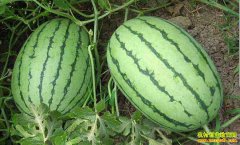 ���������������� δ��������������������