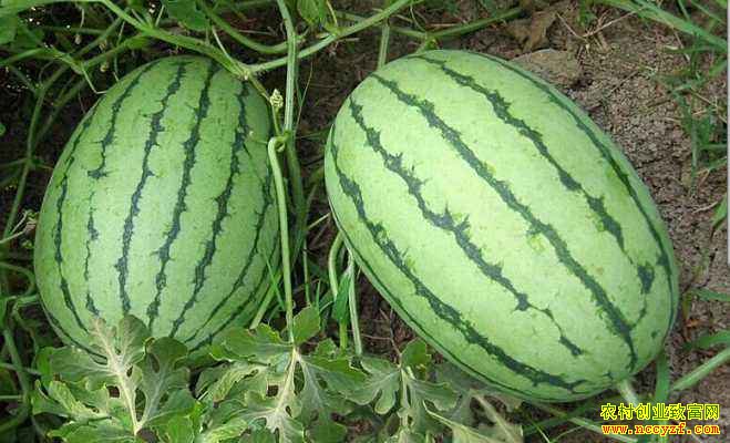 ���������������� δ��������������������