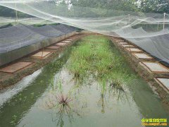 �Ĵ�����أ����紴ҵ������ ũ��һ������Ǯ