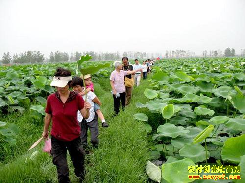 ��չ��������ũҵ�������ܶ�ӯ����