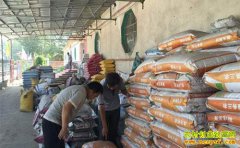 �＾��������Ԥ�⣺����������Ļ���� ��ͬƷ�ֻ��ʼ۸��ǵ���һ