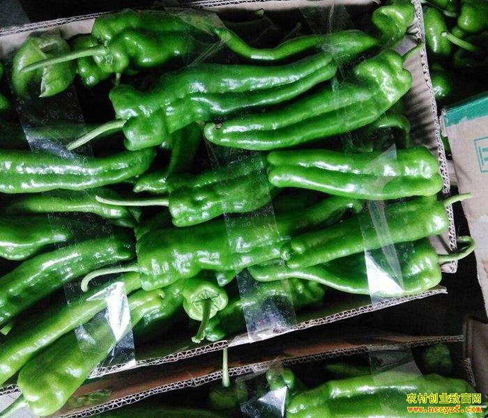 ɽ�������������۸�����