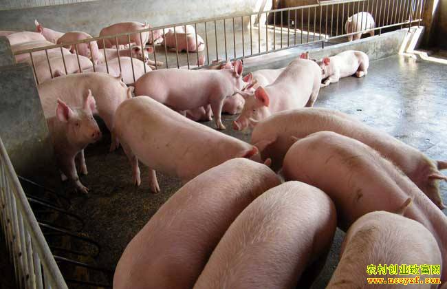 ��������Ӱ�������۸� ����ʦԤ��8������Ѯ��������