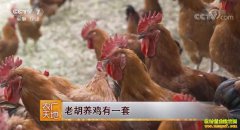 [ũ�����]�Ĵ������غ���������һ�� ������ǧ��