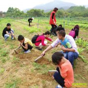 ��һ������ũ����ô����ʲô��������ũ�����ܻ�ӭ��