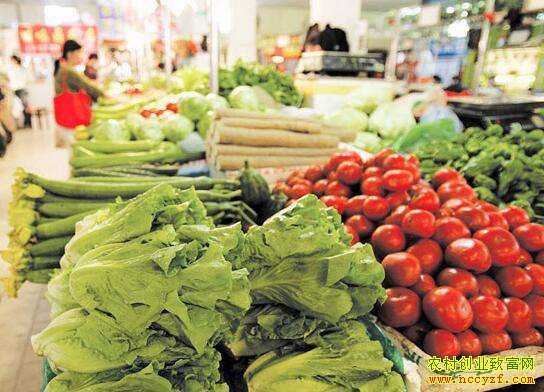 �߲˼۸�һ·���� ר��Ԥ���߲˼۸�����Խ�ά�ָ߼�