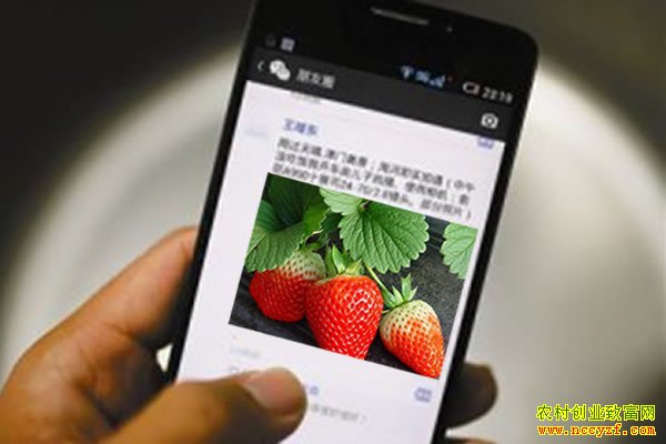 ����Ȧ��ˮ����ô���������������ˮ��������Ȧ��