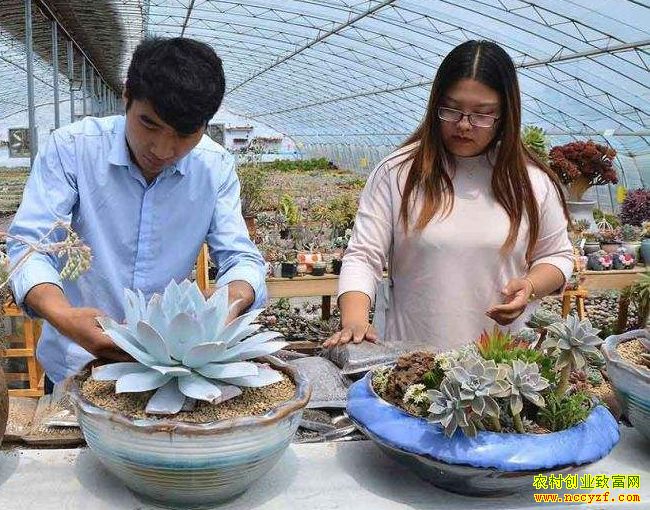 推荐10个适合夫妻创业的项目,有夫妻俩一年净收60多万元!