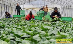 ũ����Ҫ�¸� Ŭ��������ʮҪ��