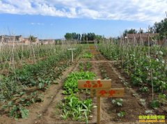 ������Ӫ��ͥũ������ͥũ����Ӫ��ע����Щϸ�ڣ�