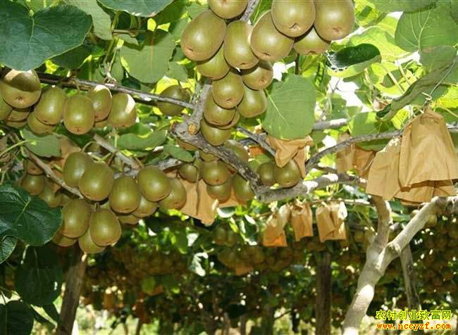 2018⨺�������Ԥ�⣺⨺����������� ��ѧ�������ʱ���