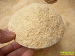 ʲô��վ�ܲ�����۸�2022��4��12�������Ƥ���۸�