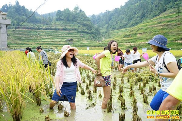 ������Ӫũ����׬Ǯ��ũ����ӪҪȫ��λ����ӯ����