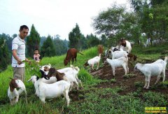 �ﶬ����ɽ�����ֳ�������֢״�����η���