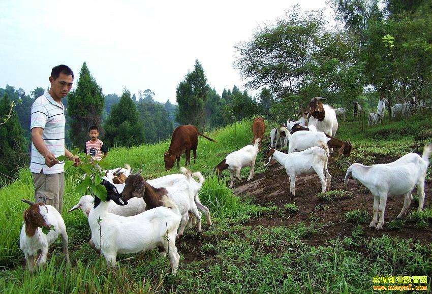 �ﶬ����ɽ�����ֳ�������֢״�����η���