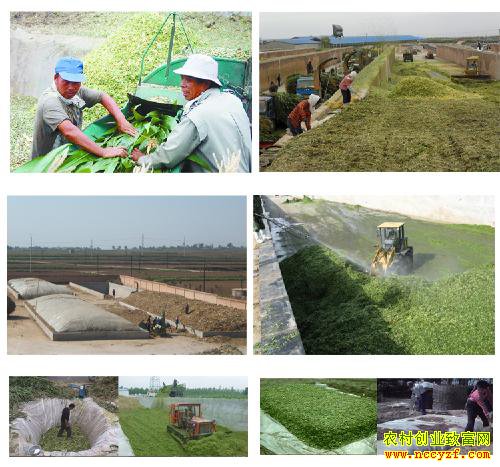 ���Է��սոѻᱻ�ط���2�н�����Ч�����ոѣ����Ϊ����