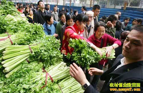 ѧ��Ӫ��֪ʶ ��ũ��Ʒ���۷�����