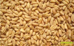 С��۸�һ·�������ʦ���Ѹó���ʱ�ͳ���