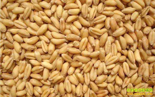 С��۸�һ·�������ʦ���Ѹó���ʱ�ͳ���