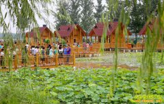 ����ũҵ��ģʽ�������˺������׽����ǡ��ؼ���