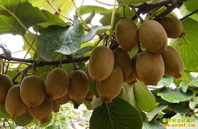 �Ĵ����ݵ�������ֲ⨺��ұ����¸�·