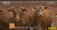 [ũ�����]����ۣ�غ�ţ��ֳ������Ƶ