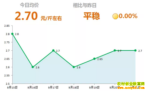 山东昌邑生姜市场今日最新大姜价格行情表
