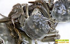 �������κ���բз�����á����� Ԥ���۸�Ϳ�����