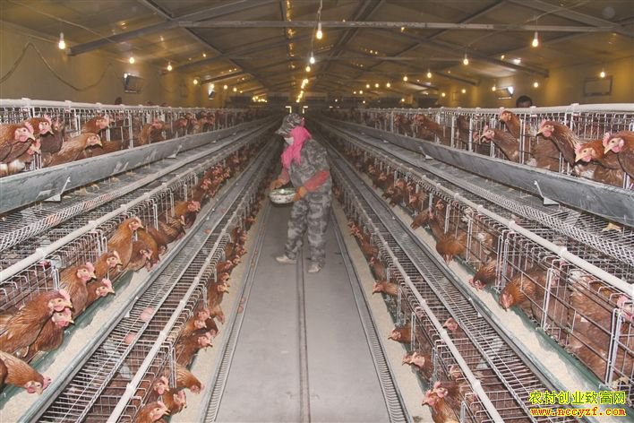 ����������������ʡ��ѻ��ܶ�����Ǯ ���ദ�������Ƽ�