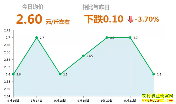 山东昌邑生姜市场今日最新大姜价格行情表